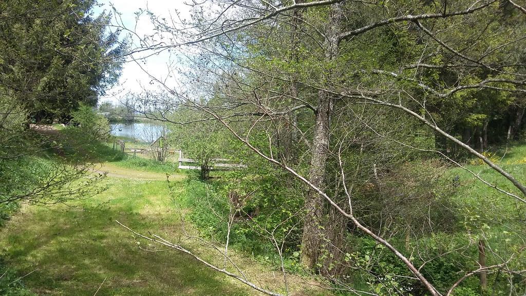 Camping De Flechat Ξενοδοχείο Orcival Εξωτερικό φωτογραφία