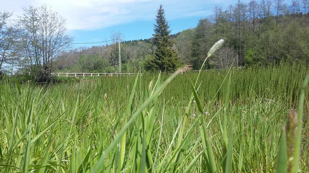 Camping De Flechat Ξενοδοχείο Orcival Εξωτερικό φωτογραφία