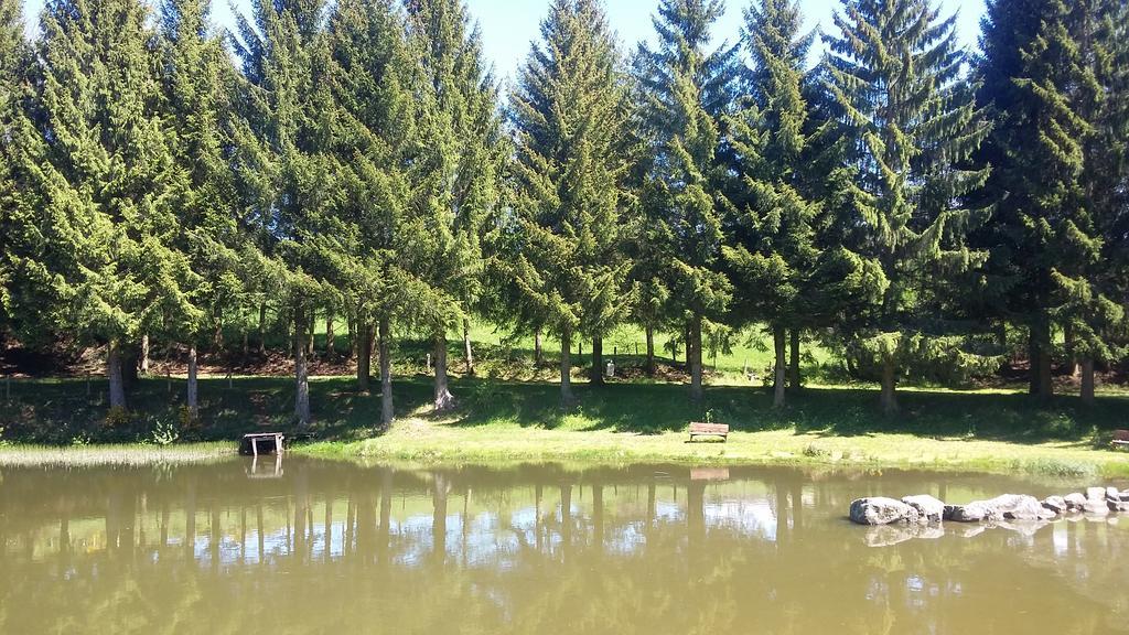 Camping De Flechat Ξενοδοχείο Orcival Εξωτερικό φωτογραφία