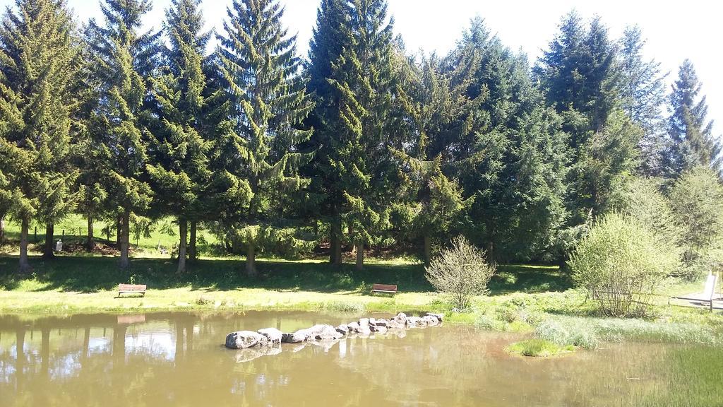 Camping De Flechat Ξενοδοχείο Orcival Εξωτερικό φωτογραφία